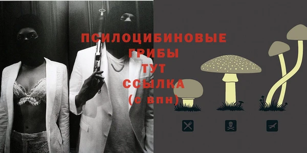 дмт Алзамай