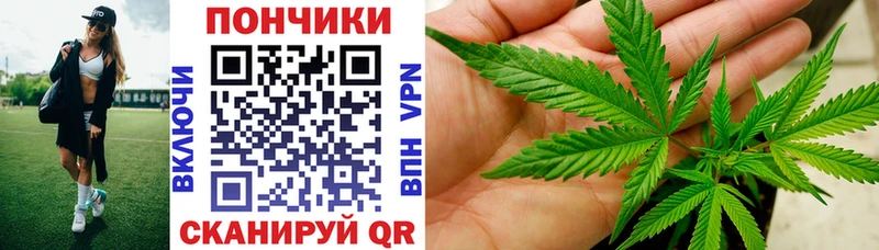 Конопля MAZAR  Перевоз 